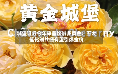 城堡证券今年来首次喊多黄金：五大催化剂共振有望引爆金价-第2张图片