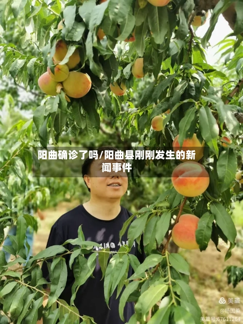 阳曲确诊了吗/阳曲县刚刚发生的新闻事件-第3张图片
