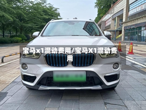 宝马x1混动费用/宝马X1混动费用-第3张图片