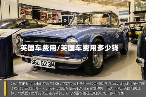 英国车费用/英国车费用多少钱