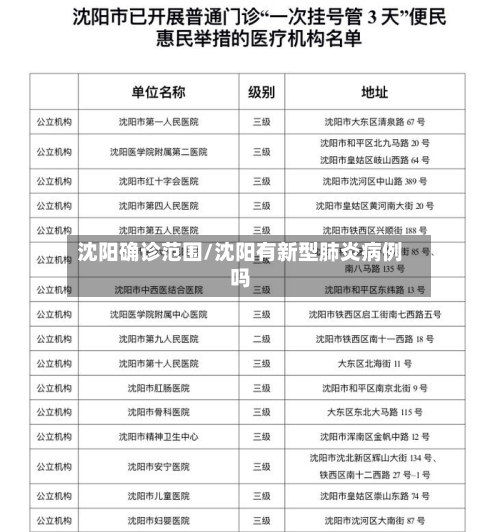 沈阳确诊范围/沈阳有新型肺炎病例吗-第3张图片