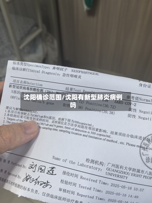 沈阳确诊范围/沈阳有新型肺炎病例吗