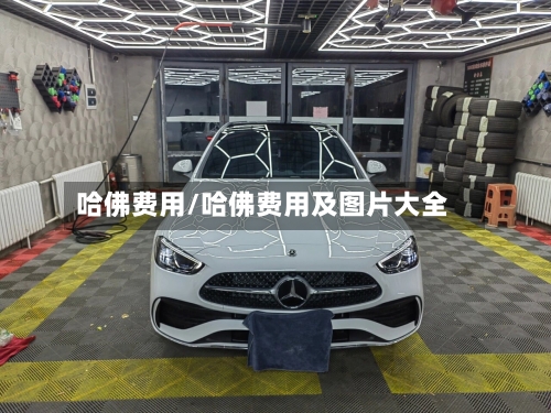 哈佛费用/哈佛费用及图片大全