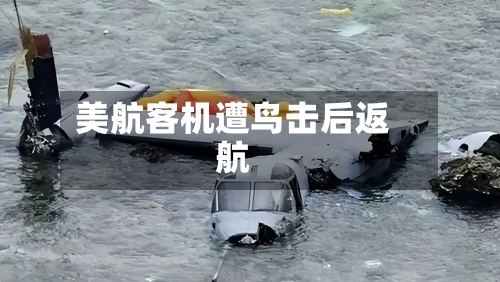 美航客机遭鸟击后返航