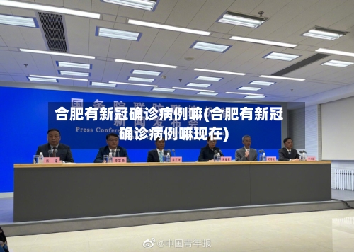 合肥有新冠确诊病例嘛(合肥有新冠确诊病例嘛现在)
