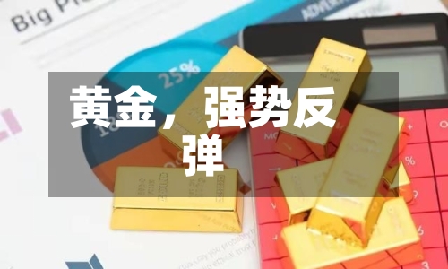 黄金	，强势反弹-第1张图片
