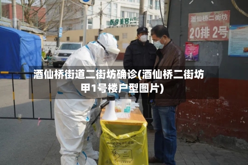 酒仙桥街道二街坊确诊(酒仙桥二街坊甲1号楼户型图片)-第2张图片